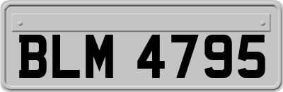 BLM4795