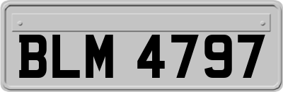 BLM4797