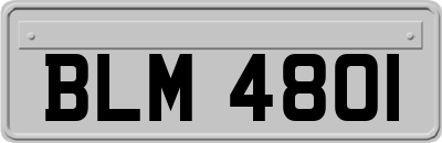 BLM4801