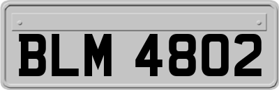BLM4802