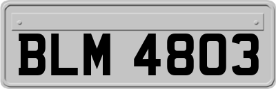 BLM4803