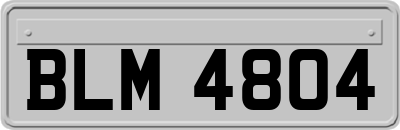 BLM4804