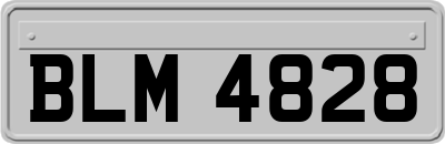 BLM4828
