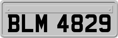 BLM4829