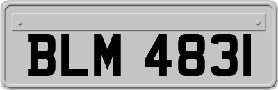 BLM4831