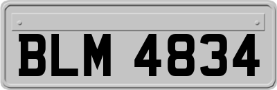 BLM4834