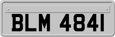 BLM4841