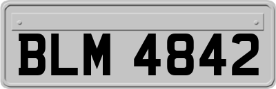 BLM4842