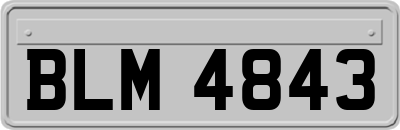 BLM4843