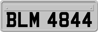 BLM4844