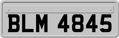 BLM4845