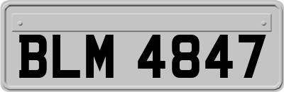 BLM4847
