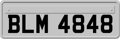 BLM4848