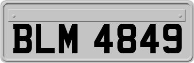 BLM4849