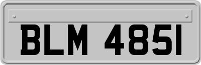 BLM4851