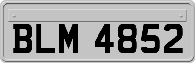BLM4852
