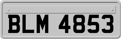 BLM4853