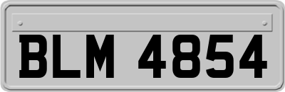 BLM4854