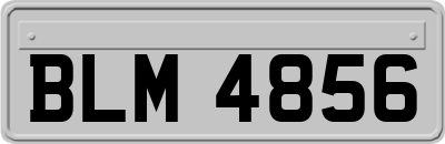 BLM4856
