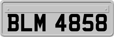 BLM4858