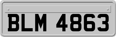BLM4863