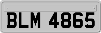 BLM4865