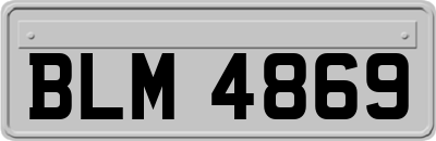 BLM4869