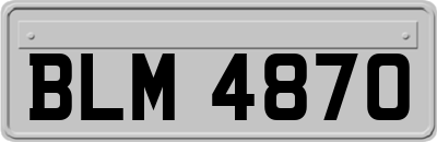 BLM4870