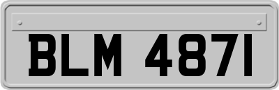 BLM4871