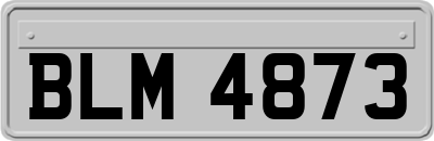 BLM4873