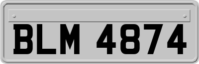 BLM4874