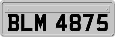 BLM4875