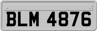 BLM4876