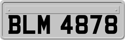 BLM4878