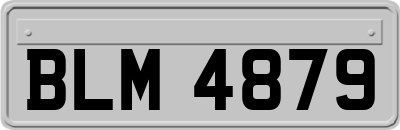 BLM4879