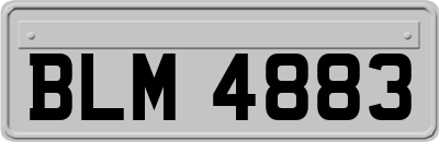 BLM4883