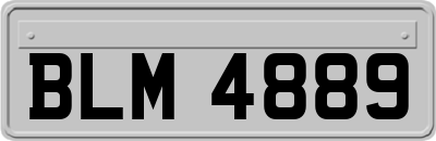 BLM4889