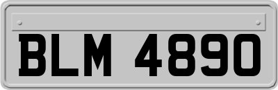 BLM4890