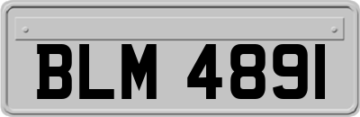 BLM4891