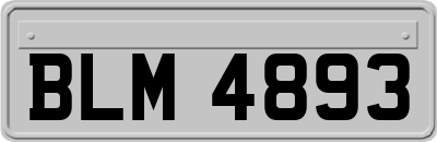 BLM4893