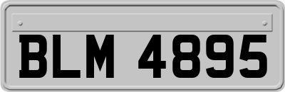 BLM4895