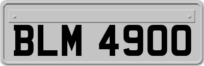 BLM4900