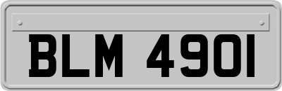 BLM4901