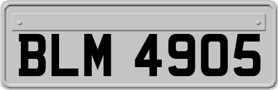 BLM4905