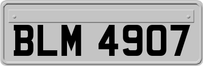 BLM4907