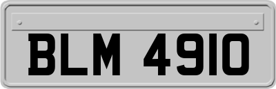 BLM4910