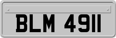 BLM4911