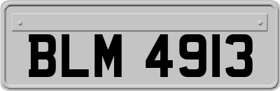 BLM4913