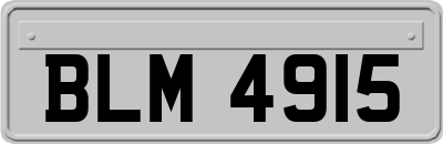 BLM4915