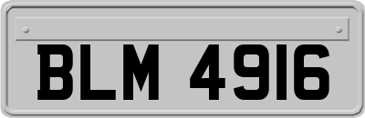 BLM4916